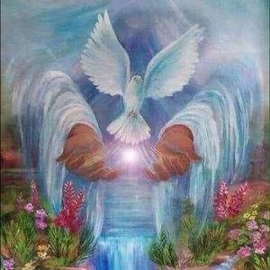 Meet your Posher, Dawn